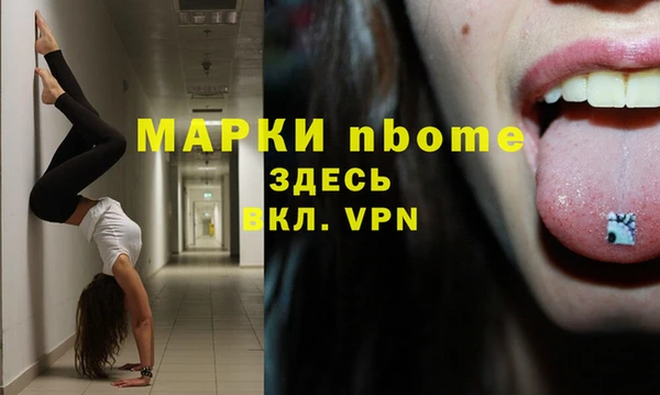 стаф Абаза