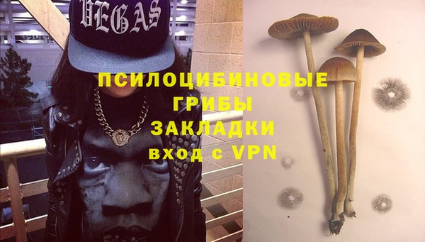 прущая мука Медвежьегорск