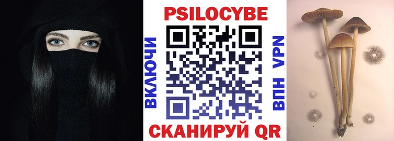 Псилоцибиновые грибы мицелий  кракен онион  Таганрог 
