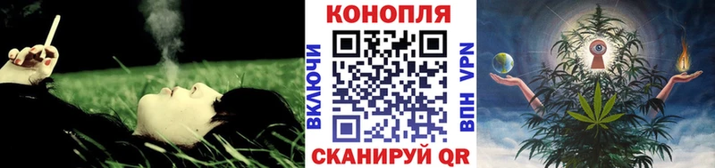 Конопля марихуана Таганрог